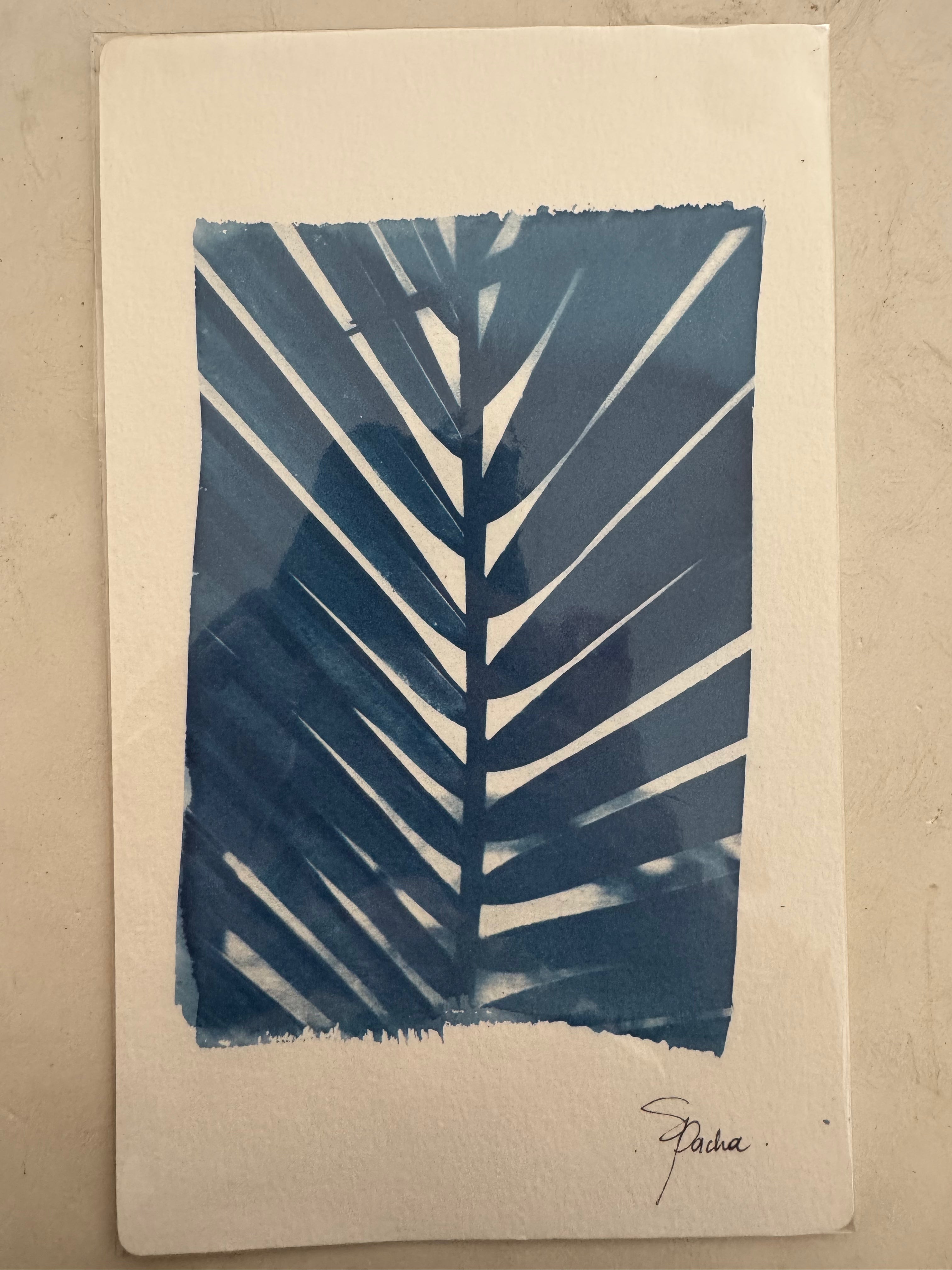 SEA PACHA / BEHIND THE PALM LEAF PRINT