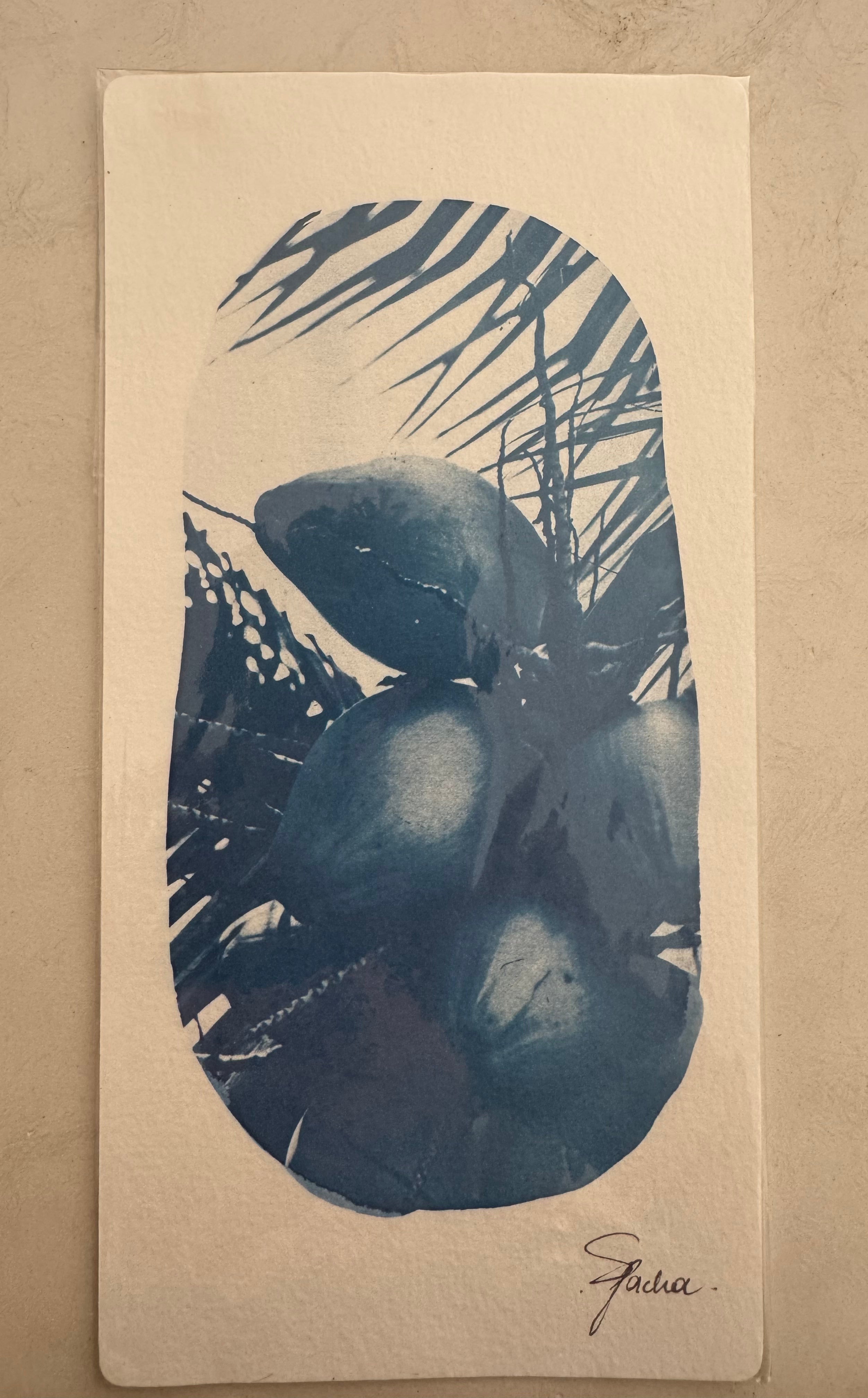 SEA PACHA / COCONUT WATER PRINT