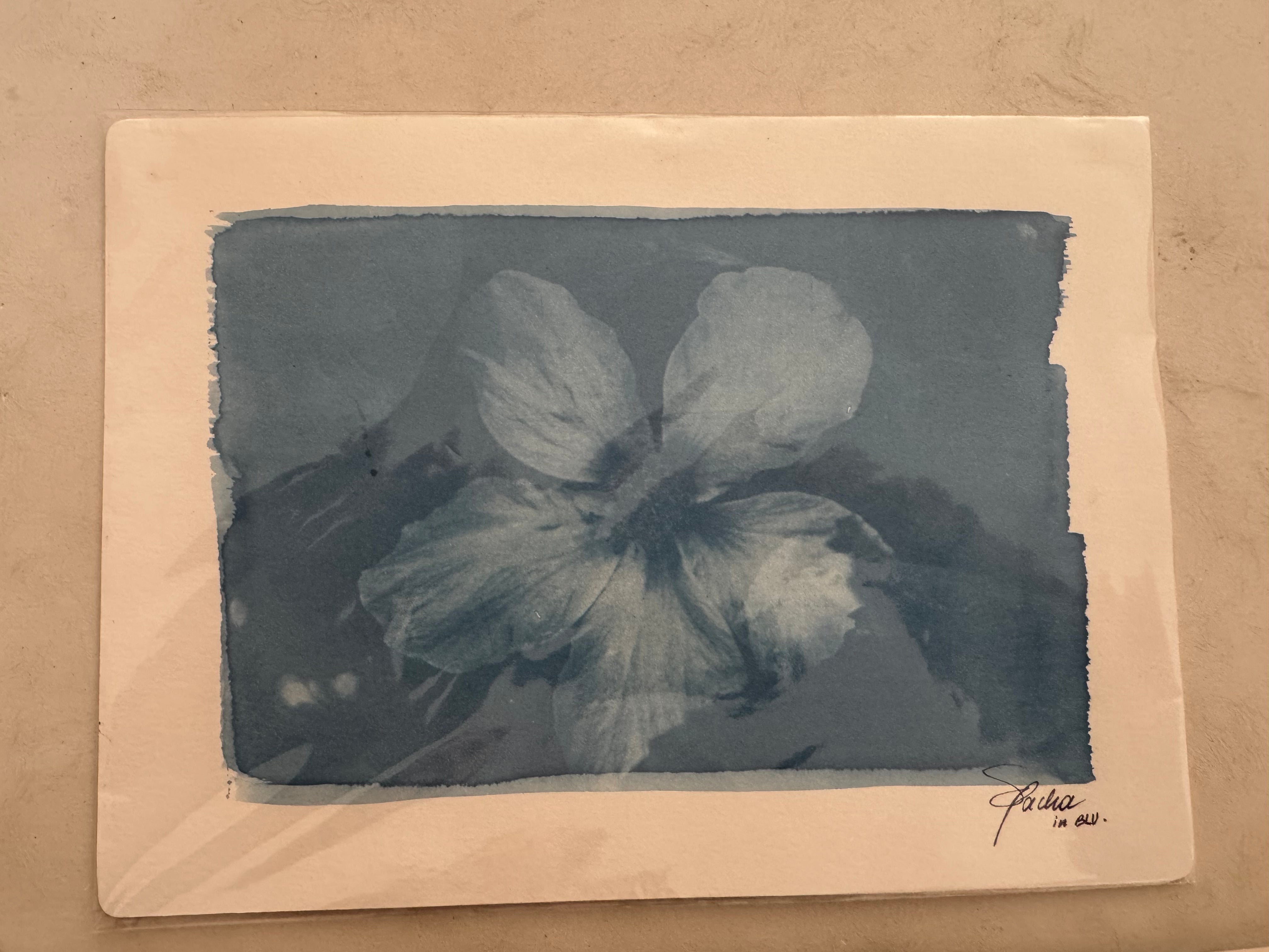 SEA PACHA / A DARK FLOWER PRINT