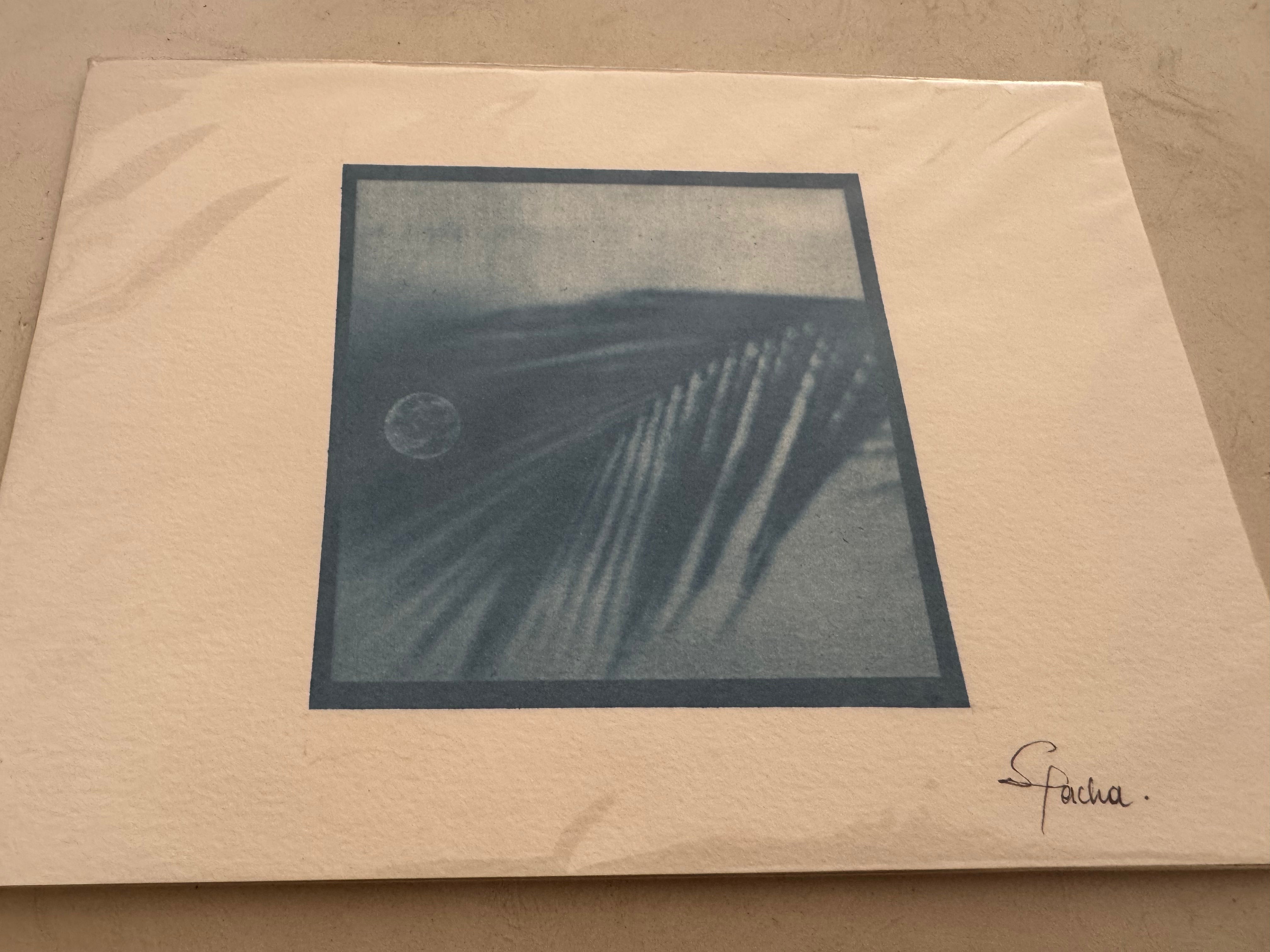SEA PACHA / FULL MOON IN HOLBOX PRINT