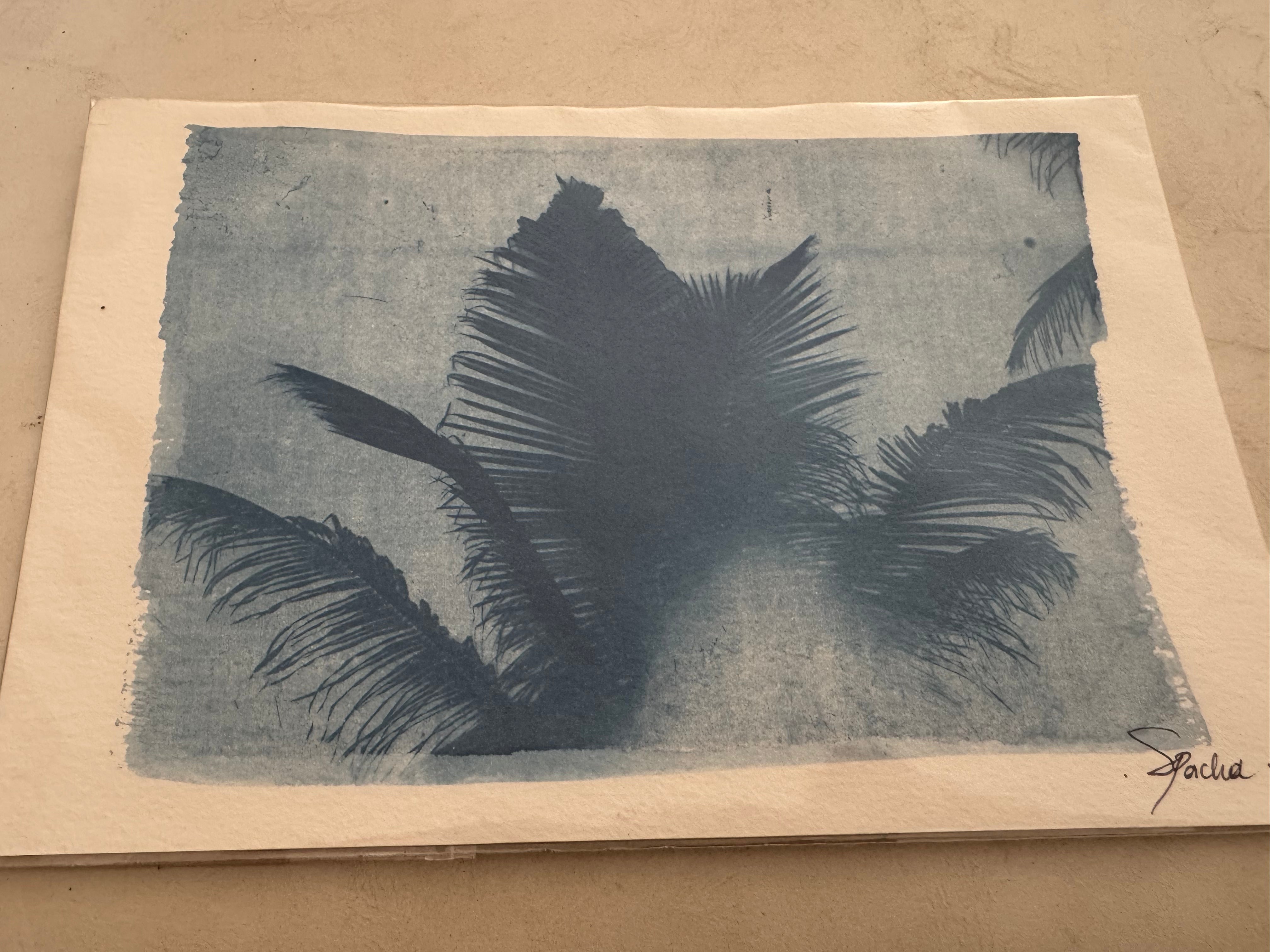 SEA PACHA / A NEW SUNRISE PRINT