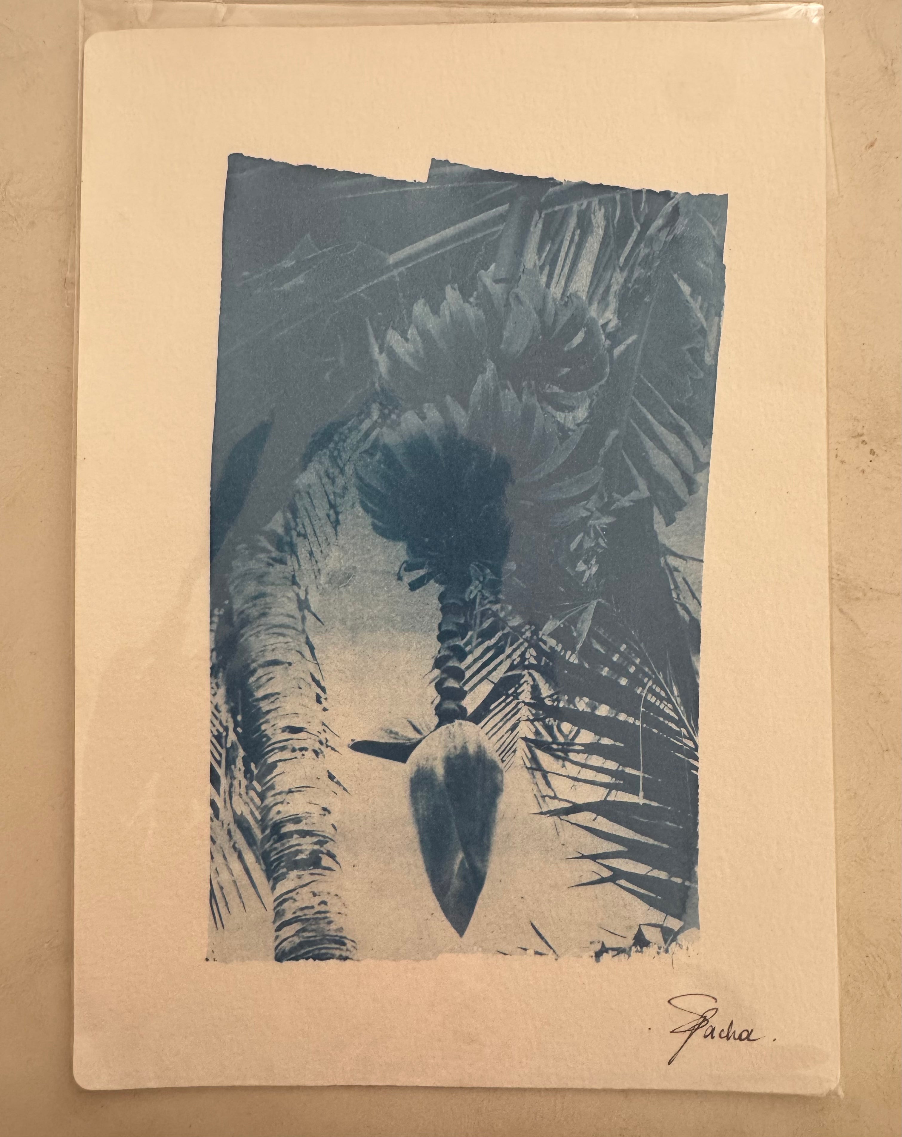 SEA PACHA / CORAZON DE BANANO PRINT